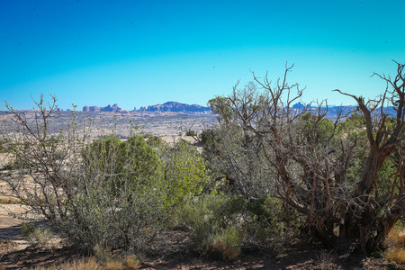 BF0T0107.jpg