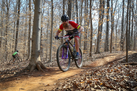 BF0T4281.jpg