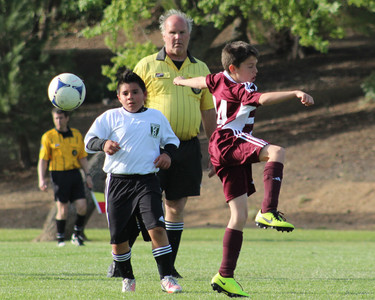 IMG_8784.jpeg