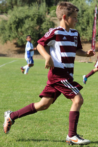 IMG_1782.jpg