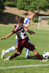 IMG_1785.jpg