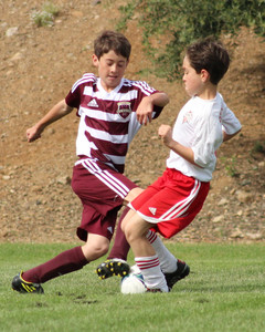 IMG_7515.jpeg