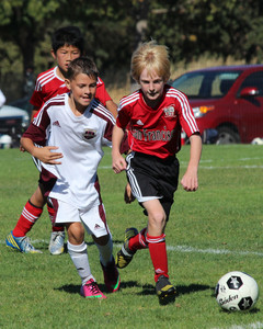IMG_4403.jpg