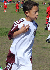 IMG_8940.jpeg