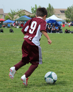 IMG_2873.jpg