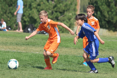 IMG_4102.jpg