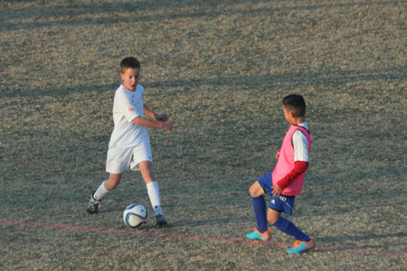 IMG_8257.jpg