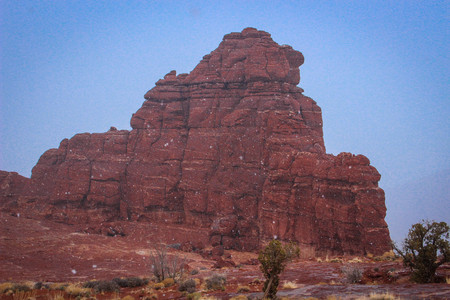 IMG_7886.jpg