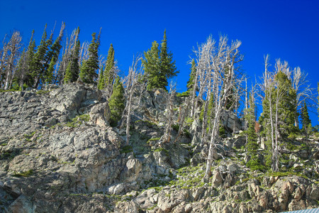 IMG_2767.jpg