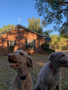 772F36B6-2638-4E60-949B-0247D7CF344A.jpeg