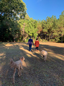 F9449F67-3A58-41AD-8AF5-273BA006AC33.jpeg