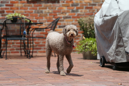 BF0T8025.jpg