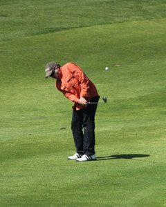 IMG_3987.jpg