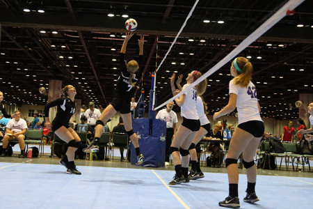 BF0T6027.jpg