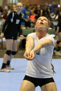 BF0T7078.jpg
