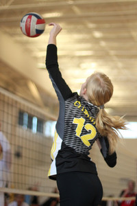 IMG_9868.jpg