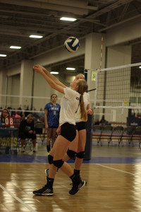 IMG_1487.jpg