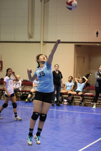 IMG_3803.jpg