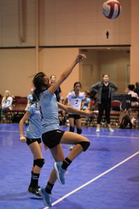 IMG_3806.jpg
