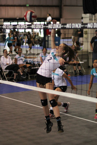 IMG_8342.jpg