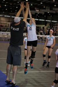 IMG_8546.jpg