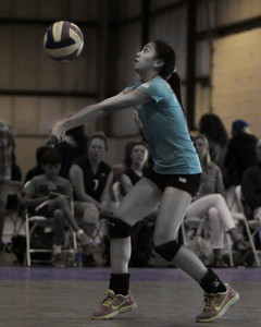 IMG_8566.jpg
