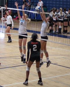 IMG_5301.jpg