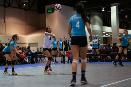 IMG_7824.jpg