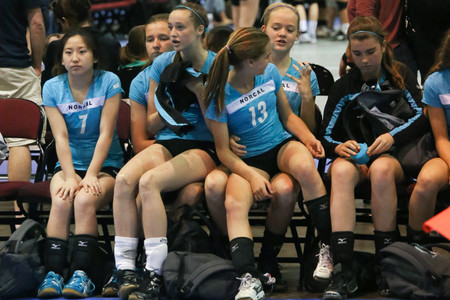 IMG_8292.jpg
