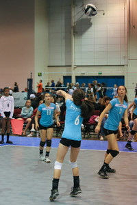 IMG_8304.jpg