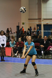 IMG_8391.jpg