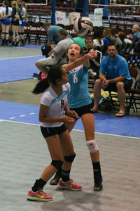 IMG_8899.jpg