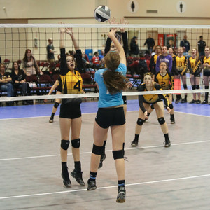 IMG_8916.jpg