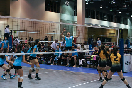 IMG_8985.jpg