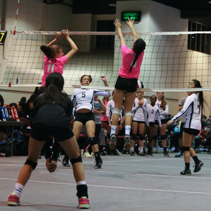 IMG_9538.jpg