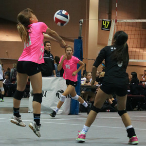 IMG_9645.jpg
