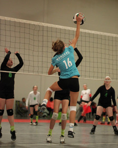 IMG_4434.jpg