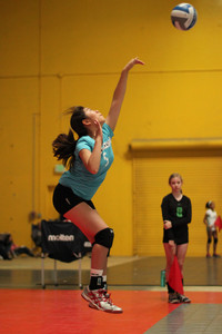 IMG_4592.jpg