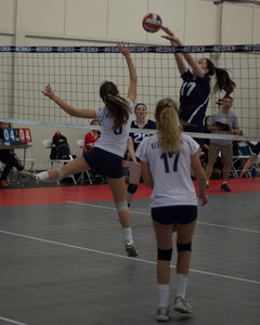 IMG_5347.jpg