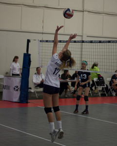 IMG_5365.jpg