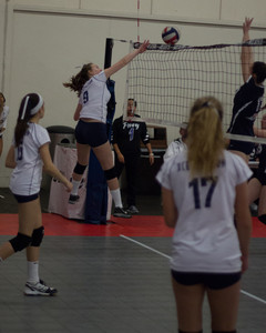 IMG_5562.jpg