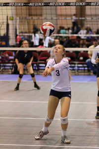 IMG_8861.jpg