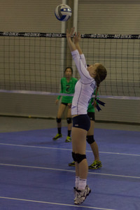 IMG_6113.jpg