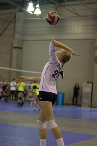 IMG_6560.jpg