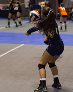 IMG_7523.jpg